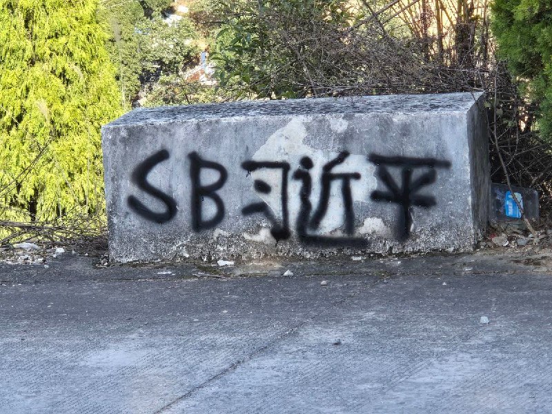 网友投稿：浙江某地出现“SB习近平”的涂鸦
