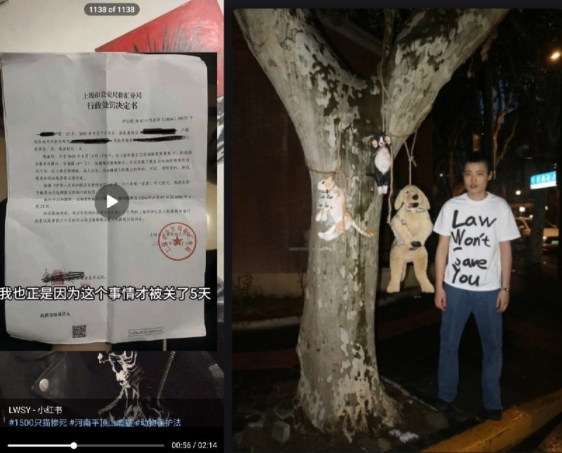 日前，上海街头，为了悼念那些被虐杀的小动物，街头行为艺术家鲍雨 进行艺术创作：他通过将动物布偶悬挂在树上，或以摔打等方式对其进行“破坏”，以艺术形式呈现暴力场景