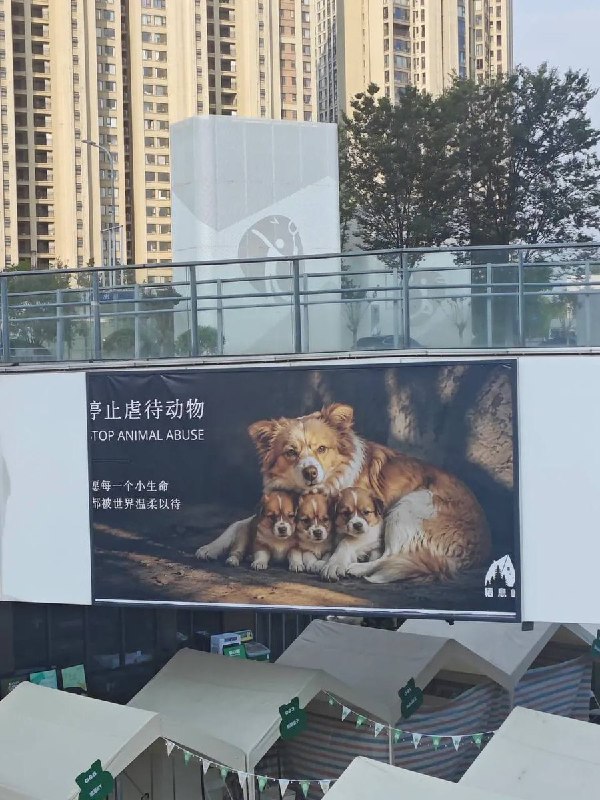 近日，全国各地还在不断出现新的呼吁动物立法的广告牌