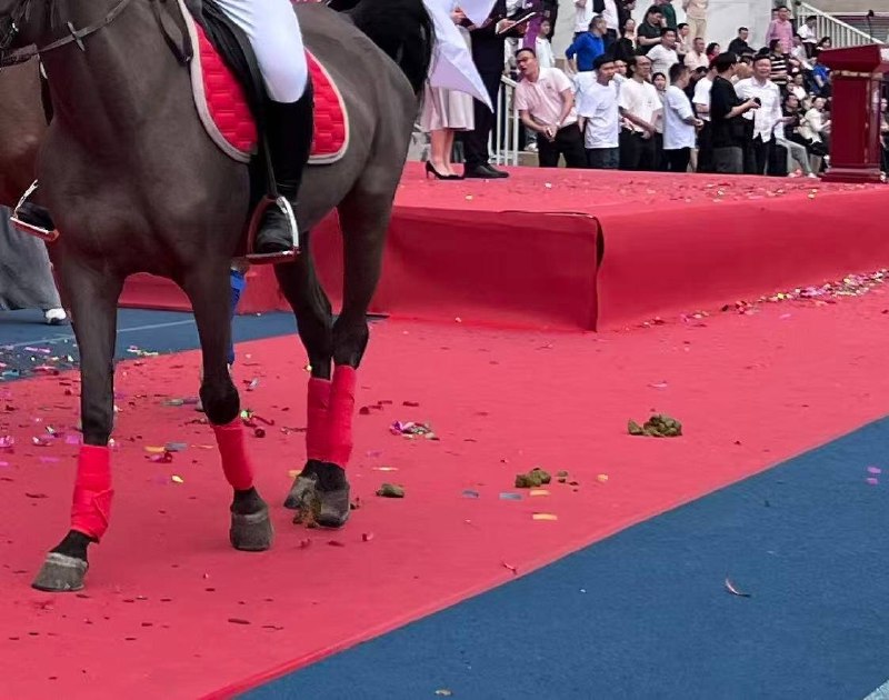 网友投稿：3月21日，广东省深圳市光明区，深圳理工大学附属实验高级中学（中科附高）举行百日誓师活动