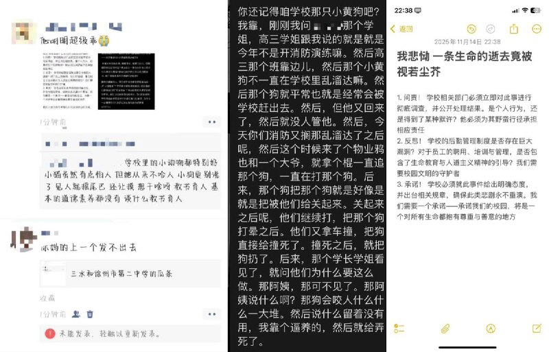 网友投稿11月14日，江苏，徐州市第二中学，两名校内工作人员将一只小狗残忍虐杀
