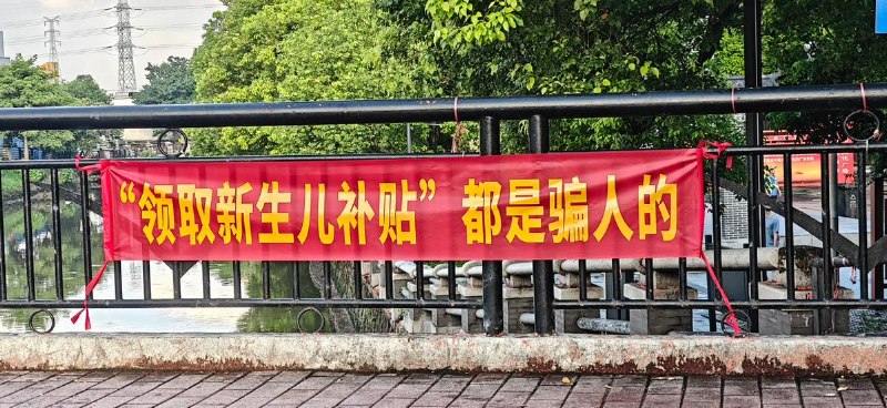 网友投稿：某地惊现标语：“领取新生儿补贴”都是骗人的查看原文