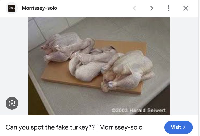 “网络不是法外之地，官谣谁买单？”2月1日，官媒环球时报、北京日报等 ，联合微博网键政圈一些“爱国症能量”自媒体大V，用一张“鸡”的照片 来大肆炒作“爱泼斯坦案”，还故意打上黑色马赛克，用来暗示引导黑色马赛克遮住的是孩子的尸体