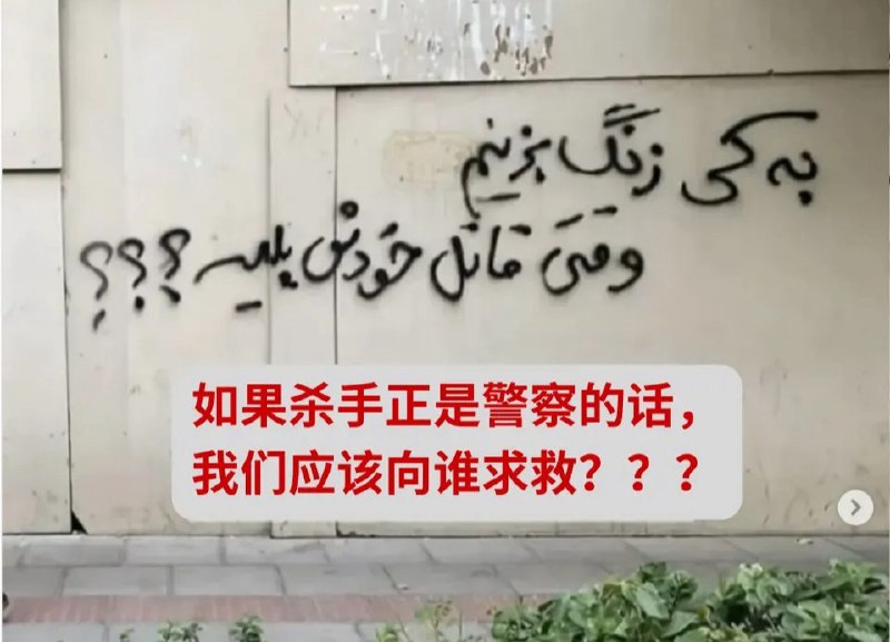 伊朗街头的涂鸦：如果杀手正是警察的话，我们应该向谁求救？？？查看原文📝 引用推文:断网前，伊朗街头的反抗涂鸦查看引用原文