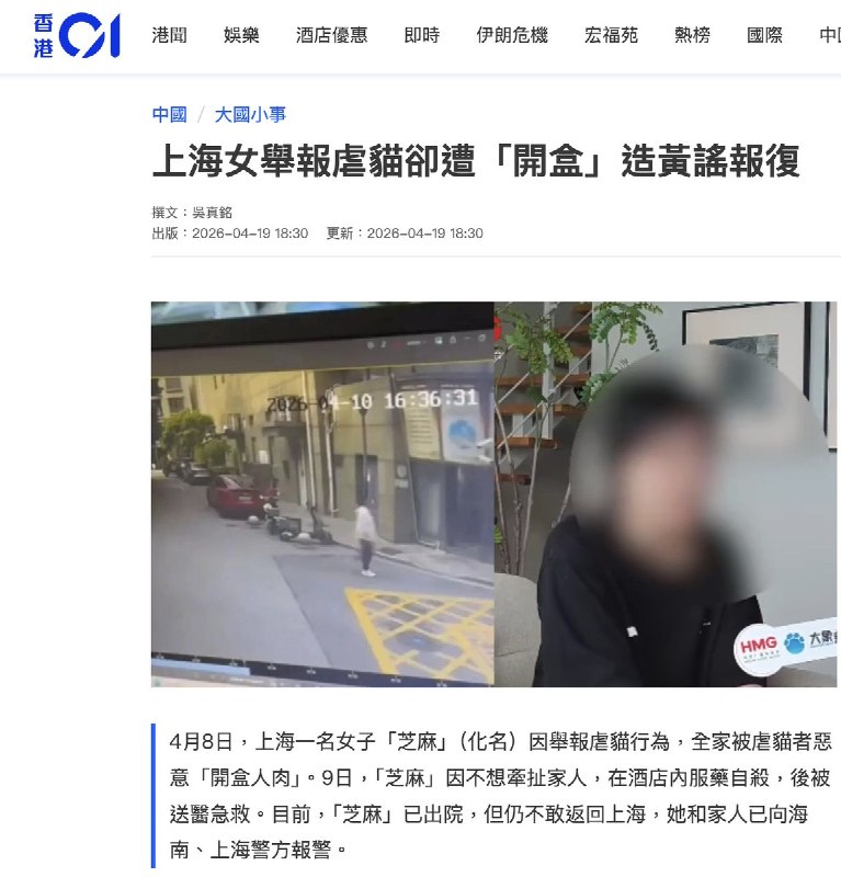 网友投稿：上海一名动物救助志愿者，网名“芝麻回家”
