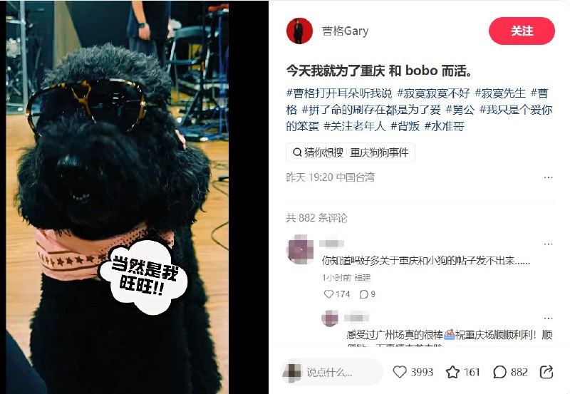 重庆“虐狗事件”持续引发关注后，歌手曹格在社交平台发帖称“今天我就为了重庆和 bobo （视频中的宠物狗）而活”，疑似支持重庆动保志愿者
