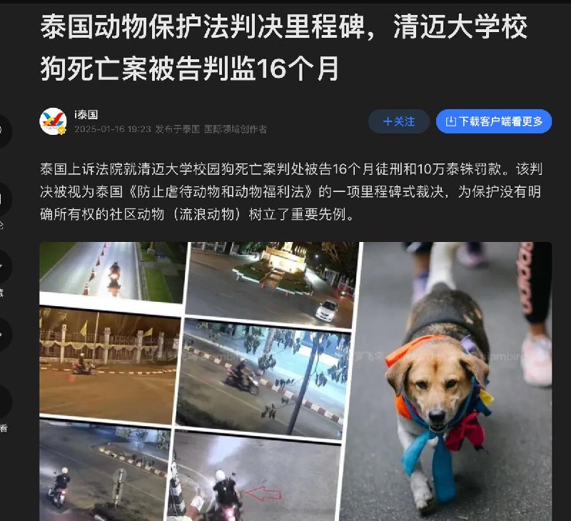 近日，多位泰国网友发文指控曼谷一中国男留学生虐待动物